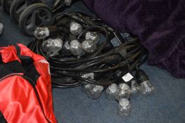 *Feit LED String Lights 48ft