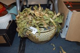 Decorative Pottery Jardiniere with Plant