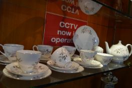 Royal Adderley Silver Rose 22 Piece Tea Set