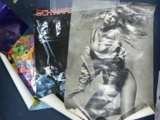 Three Posters Including Arnold Schwarzenegger as T