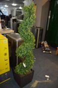 *Spiral Topiary in Planter