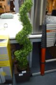 *Spiral Topiary in Planter