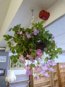 *Hanging Basket with Artificial Flowers