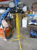 *Defender Industrial Site Lamp (Single Phase)