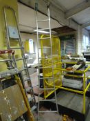 *Ten Tread Aluminium Ladder