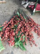 Quantity of Assorted Artificial Foliage Including