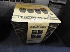 *Mixed Pre-Planted Bulbs