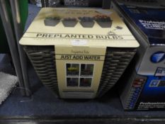 *Mixed Pre-Planted Bulbs