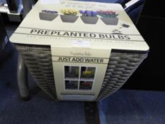 *Mixed Pre-Planted Bulbs