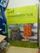 *Apollo Victorian Style Strawberry Tub