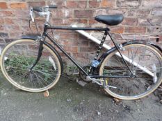 Raleigh Genesis Bicycle