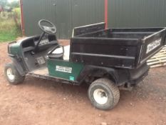 Petrol Workhorse RTV