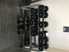 3 Tier Weights Rack Plus Weights
