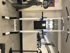 Technogym Knee Raise & Pull Up Machine