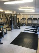 Large commercial rubber gym mat