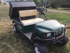 Rtv Workhorse Petrol