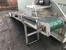 Stainless Steel Conveyor