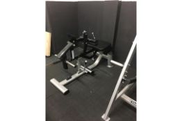 Plate Loaded Calf Raise