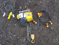 Davy Morris 500kg Crane Hoist / 3 phase
