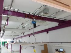 1 Tonne Gantry Crane with 40ft of Track and Hoist (Removed and Ready for collection)