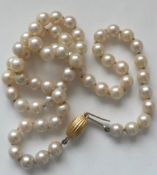 Antique Pearl Necklace 18ct Gold Clasp Chain