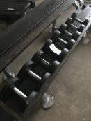 Technogym Dumbbells (Rack Not Included) 4 Pairs