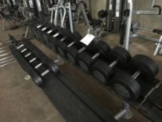 Technogym Dumbbells (Rack Not Included)