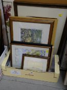 Box of various framed prints