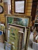 A large modern print on canvas of a woodland scene in gilt frame together with a collection of other