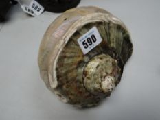 A carved abalone shell featuring a South Sea nude with fan, applying a flower to her long hair