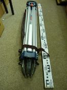 Surveyor's tripod and staff