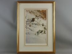 STEVEN TOWNSEND colour limited edition (395/400) print - a robin on bramble branches in snow, signed