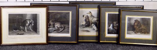 SIR EDWIN LANDSEER collection of five engravings - each canine studies, entitled 'The Pet of the
