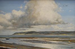 CARROLL oil on canvas - birds over estuary, entitled 'Robin Hood Bay', signed (indistinctly), 49 x