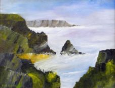 DAVID SHANAHAN oil on board - Pembrokeshire coastal scene, signed, 39 x 49cms