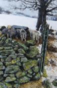 KEITH BOWEN pastel - sheep feeding in trough in snow, signed, 36 x 24cms