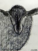 JAKE SUTTON charcoal drawing - head of a charolais sheep, signed & dated 2008, 74 x 54cms