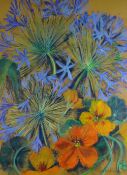 LAVINIA RANGE pastel and mixed media - botanical garden study of blue agapanthus and orange
