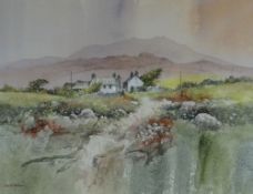 DAVID BELLAMY watercolour - landscape, entitled verso 'Cottages, Near St. Davids Pembrokeshire',