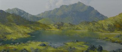 CHARLES WYATT WARREN oil on board - Snowdon from Llyn y Gader, signed, 23.5 x 54cms Provenance: in