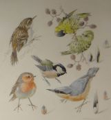MILDRED ELSIE ELDRIDGE RWS working drawing with body-colour - precise study of garden birds,