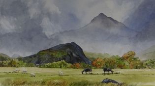 CELIA DE GRAMMONT watercolour - Snowdonia landscape, entitled verso 'Cnicht', signed and dated 1993,