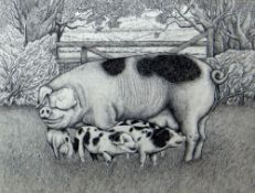 SEREN BELL pen and ink - Gloucester Old Spot sow with three piglets, 37 x 50cms