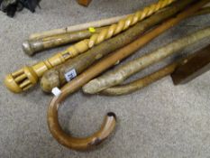 Small parcel of walking sticks