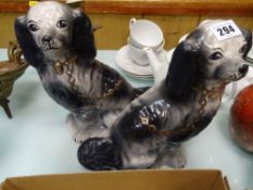 Pair of black and white Staffs dogs