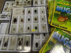 Collection of National Geographic 'bugs' with reference magazines