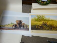 DAVID SHEPHERD OBE two unframed limited edition prints - titled 'First Light at Savuti' (1434/