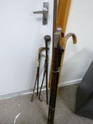 Bundle of walking sticks, canes and a shepherd's crook