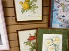 Pair of framed Redoute rose prints and another, a framed print 'The Forebears' and a framed map of