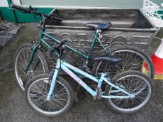 Raleigh Atlanta bicycle and a smaller Apollo child's bicycle